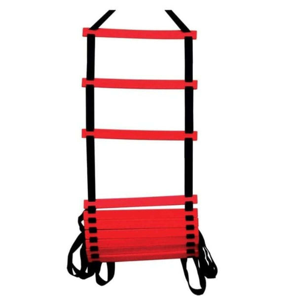 Cosco Active Agility Ladder