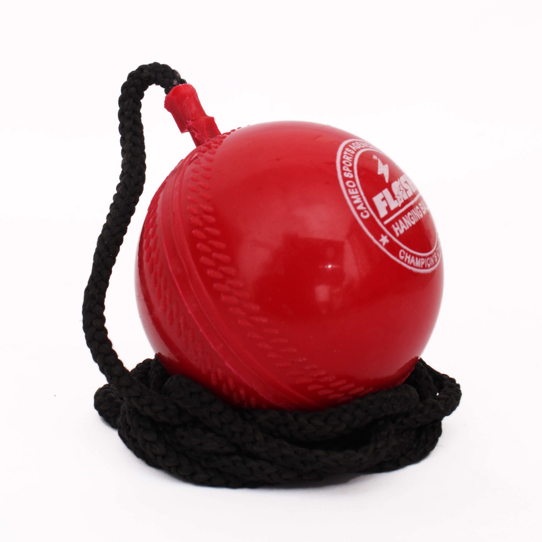 Flash Hanging Synthetic Cricket Ball